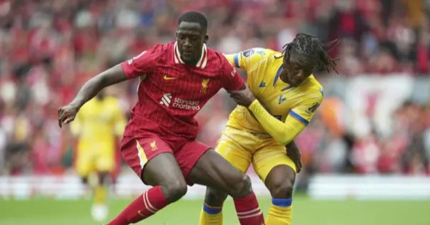 Cody Gakpo dan Rumor Transfer ke Bayern Munich: Ini Kata Sang Pemain?